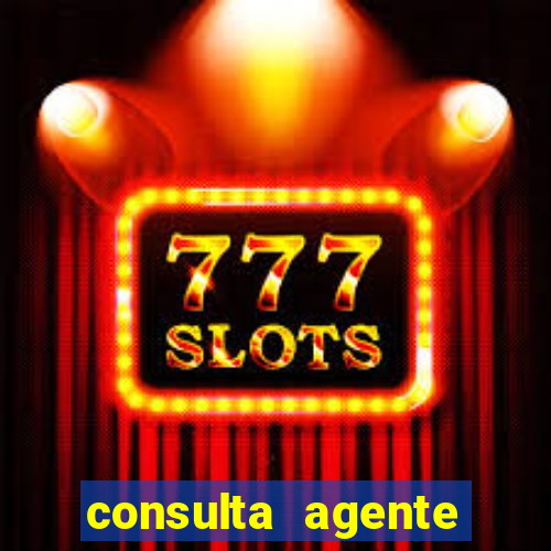 consulta agente autuador sp